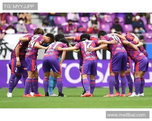 福冈黄蜂与东京绿茵比赛前瞻及胜负预测分析 福冈黄蜂与东京绿茵比赛前瞻及胜负预测分析